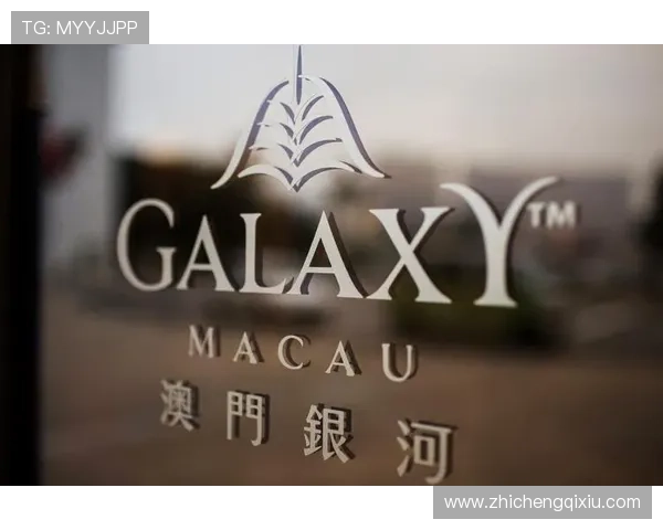 澳门银河娱乐集团有限公司网址导航，帮助玩家快速访问官方平台