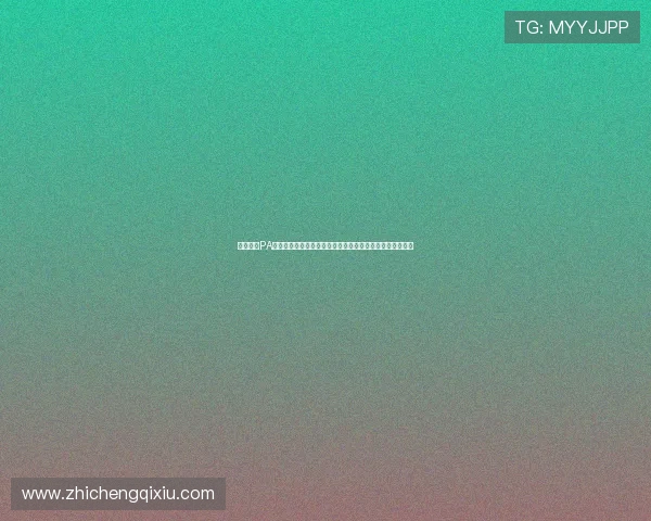 全面解析PA视讯版的核心功能与操作技巧提升你的使用效率与观看体验